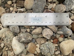 Number 57 gravel showing size with a ruler